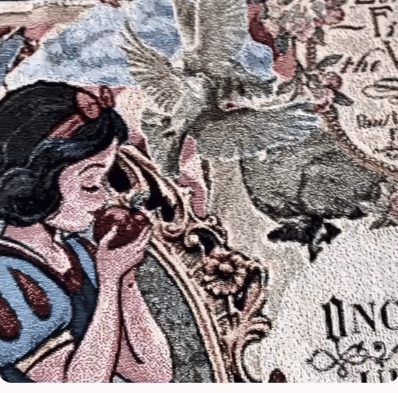 Disney Princess Blankets Max Fuel Labs